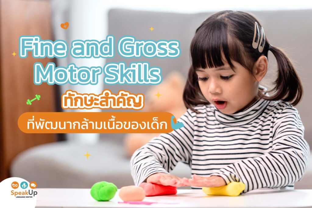 Fine and Gross Motor Skills ทักษะสำคัญที่พัฒนากล้ามเนื้อของเด็ก