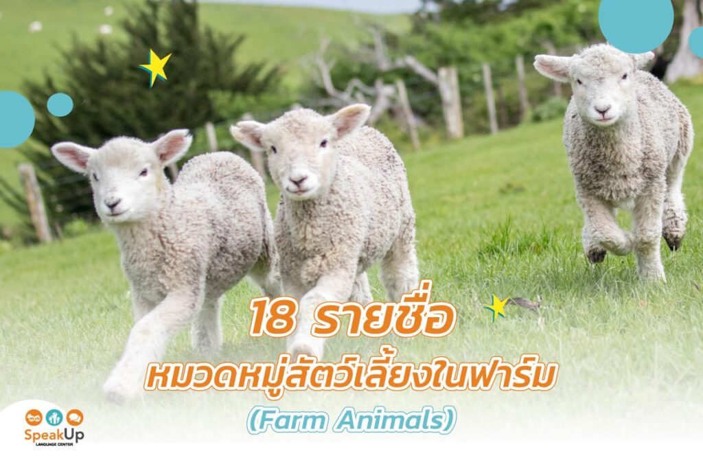 18 รายชื่อหมวดหมู่สัตว์เลี้ยงในฟาร์ม (Farm Animals)
