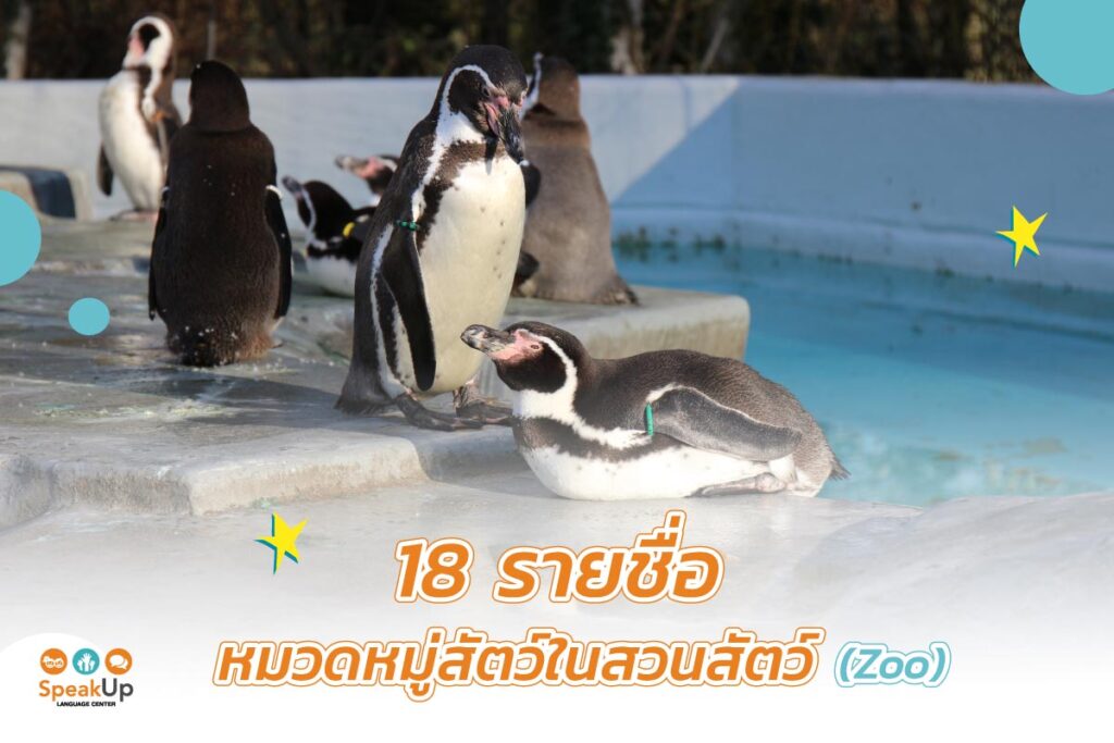 18 รายชื่อหมวดหมู่สัตว์ในสวนสัตว์ (Zoo)