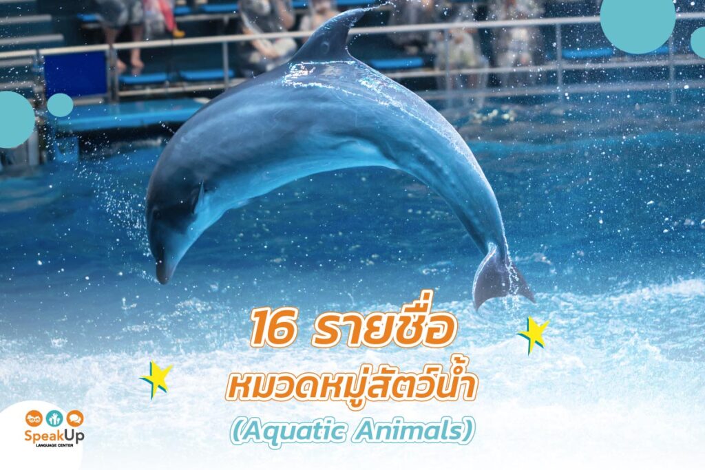 16 รายชื่อหมวดหมู่สัตว์น้ำ (Aquatic Animals)