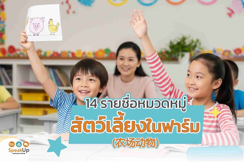 14 รายชื่อหมวดหมู่สัตว์เลี้ยงในฟาร์ม (农场动物)