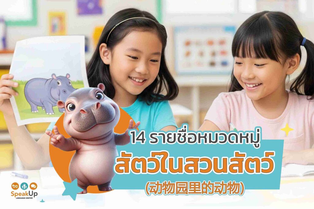 14 รายชื่อหมวดหมู่สัตว์ในสวนสัตว์ (动物园里的动物)