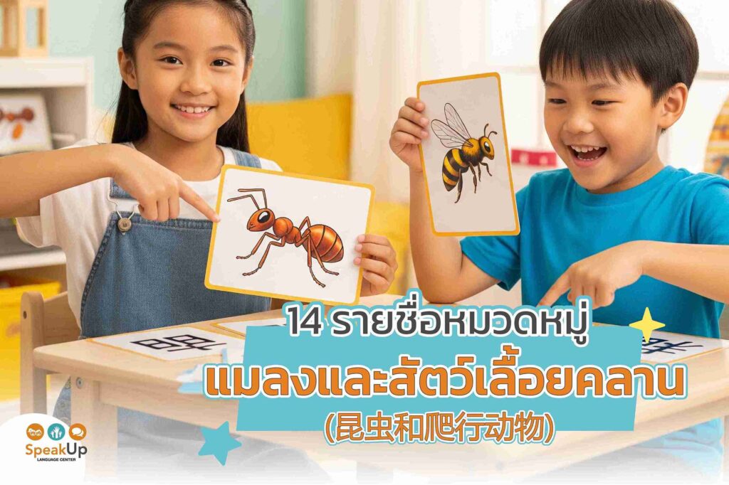 14 รายชื่อหมวดหมู่แมลงและสัตว์เลื้อยคลาน (昆虫和爬行动物)