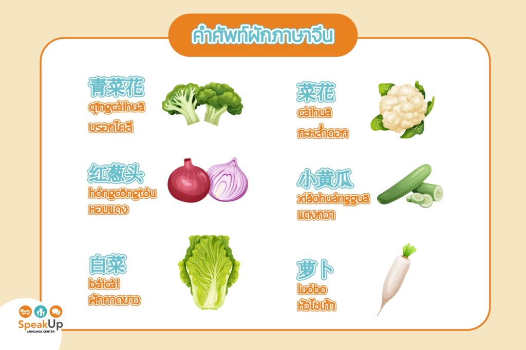คำศัพท์ผักภาษาจีน