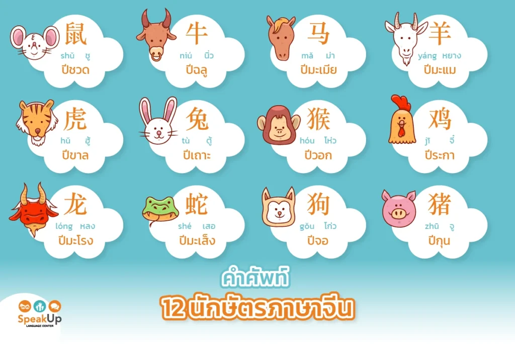 คำศัพท์ 12 นักษัตรภาษาจีน